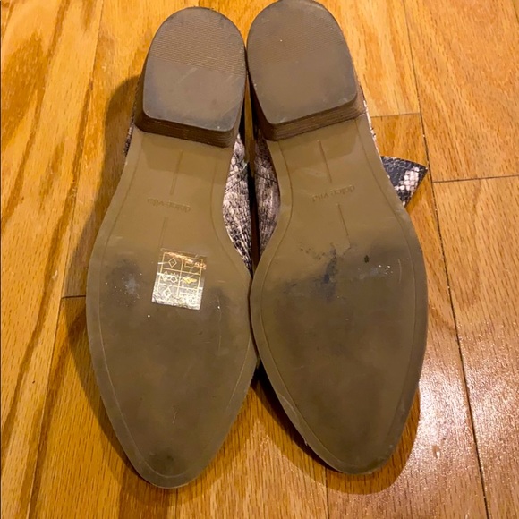 Dolce Vita Kadey Stella Snakeskin Embossed bootie - Picture 14 of 15